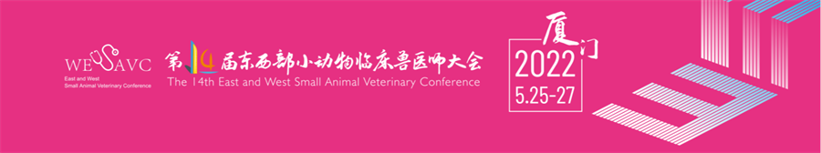 1646275978832139.png 东西小动物.png