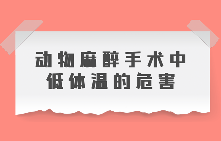 动物麻醉手术中低体温的危害