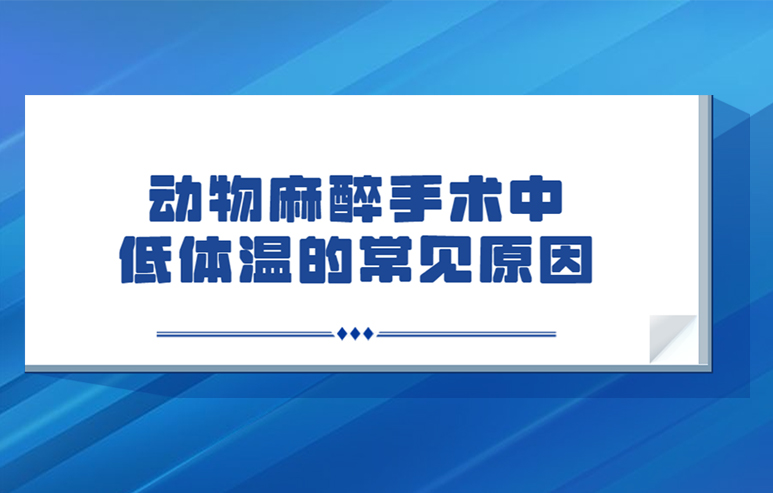 动物麻醉手术中低体温的常见原因