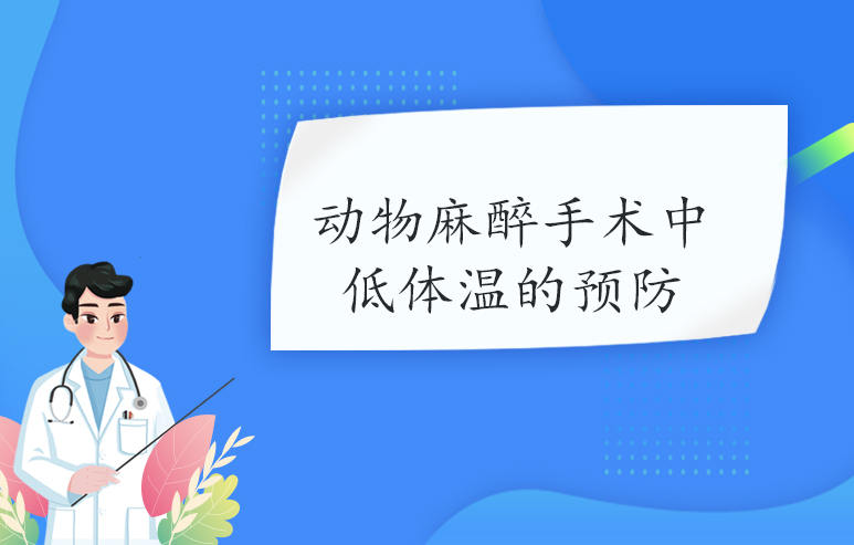 动物麻醉手术中低体温的预防