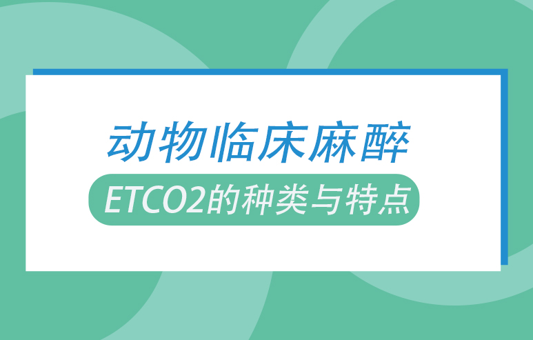 动物临床麻醉 EtCO2的种类与特点