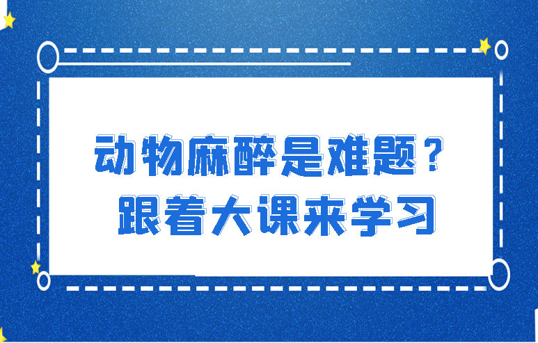 解锁麻醉新技能，一起学习动物麻醉基础与疼痛管理课程，为宠物健康保驾护航！