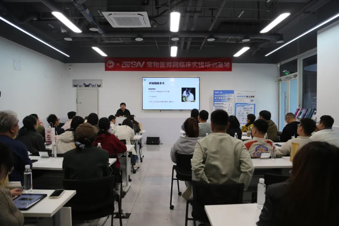 精准麻醉护航，德菲医疗助力异宠诊疗新突破