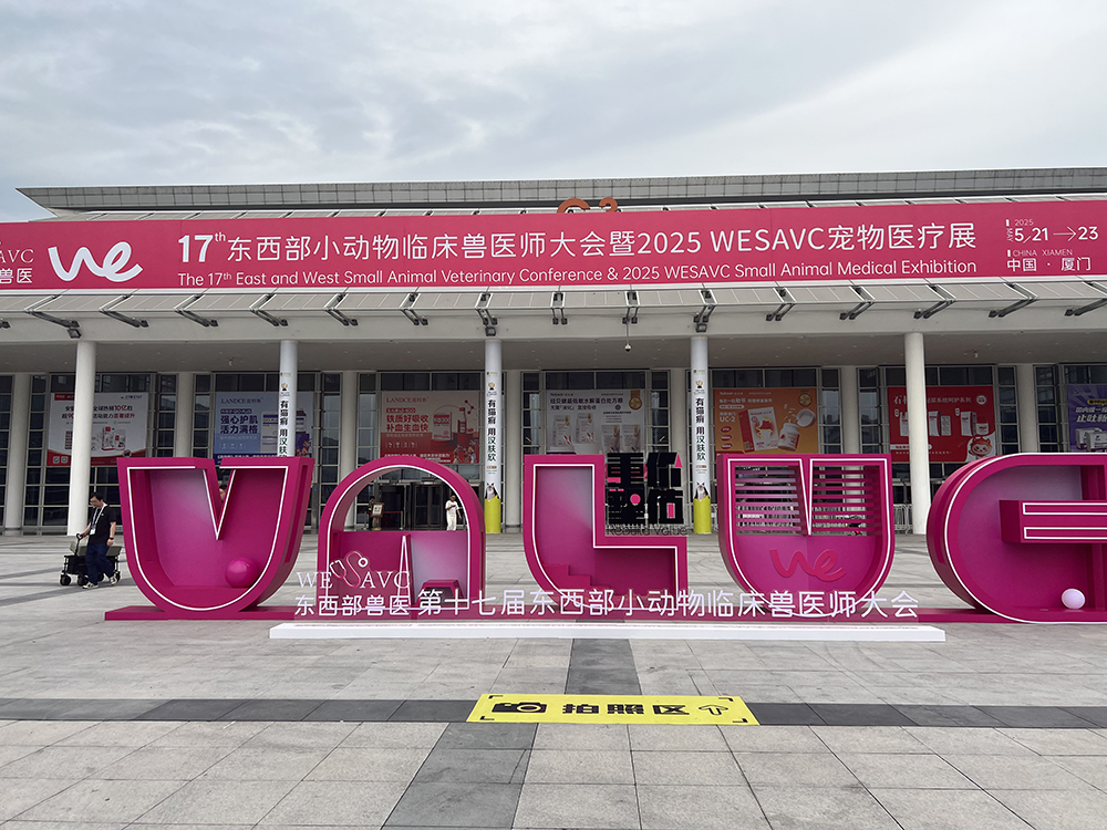 德菲医疗WESAVC2025收获颇丰！感恩同行，未来可期！