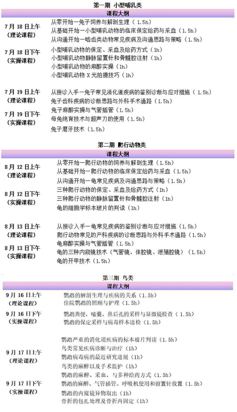 1752655321127998.jpg 未标题-3.jpg