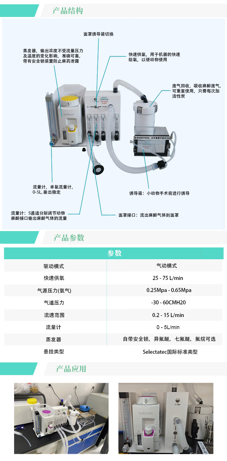 produce-2（中）.jpg