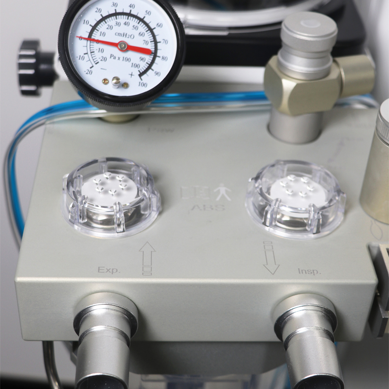 动物麻醉机DA1200v8适用于实验室制药厂